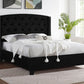 5111BK-ALL EVA BED