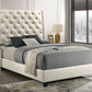 5265CP-ALL CHANTILLY CHAMPAGNE BED