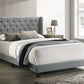 5267GY-ALL MAKAYLA BED GRAY